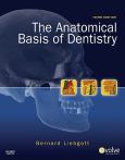 Anatomical Basis Of Dentistry