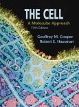 Cell: A Molecular Approach