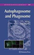 Autophagosome And Phagosome